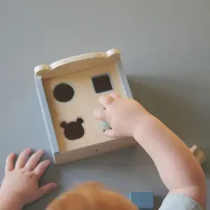 Boîte à formes Teddy