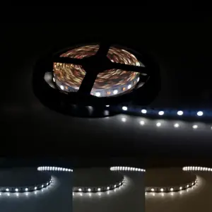 Ruban LED 12V 5M 5050 IP20 60LED/m - Blanc Froid 6000K - 8000K