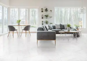 Carrelage de sol intérieur en grès cérame émaillé "CARRARA" blanc - 60 X 60 cm