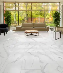 Carrelage sol intérieur grès cérame émaillé gris 30X61 cm STATUARIO