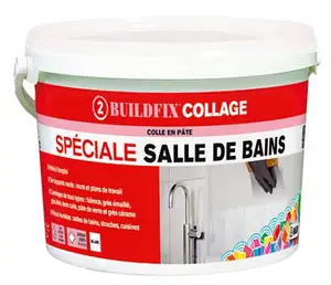 Colle en pâte D2T 3Kg Spéciale Salle de bains