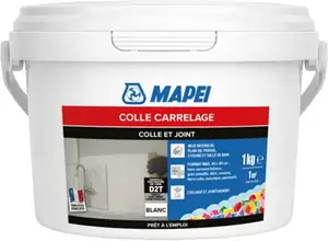 Colle et joint carrelage en pâte prêt à l’emploi blanc intérieur 1 kg