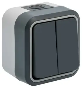 Double interrupteur va-et-vient étanche gris IP55 250V