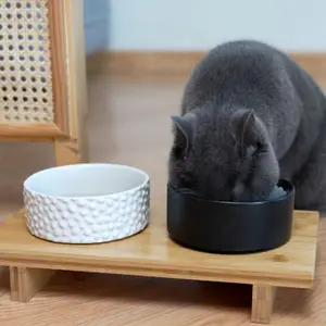 Set de gamelles pour animaux Komeki