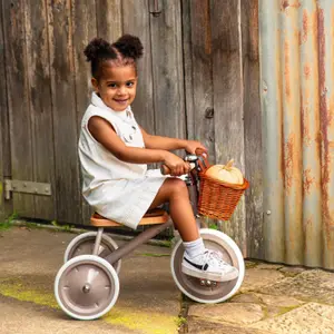 Tricycle Vintage Dusty Pink