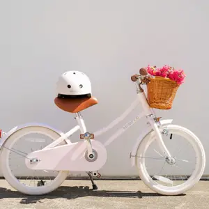 Vélo enfant Classic Pink (14 pouces)