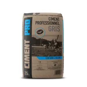 Ciment professionnel gris - sac 25 kg