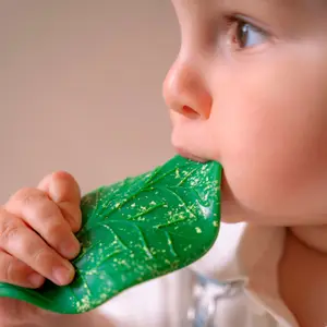 Jouet de dentition bébé Feuille de Chlorophylle