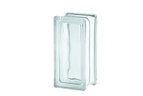 Demi pavé de verre Nuage incolore 9 x 19 cm, ép.80 mm