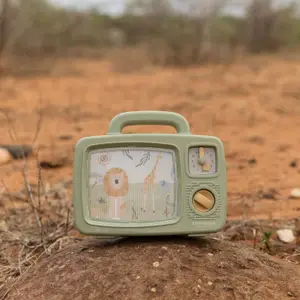 Télévision musicale Safari Friends