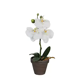 Phalaenopsis blanc artificiel ø12 x h.26 cm en pot Stan gris ø9 cm