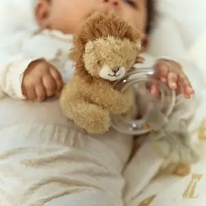 Anneau hochet Lion Safari Friends