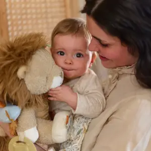 Peluche d'activités Lion Safari Friends (29 cm)