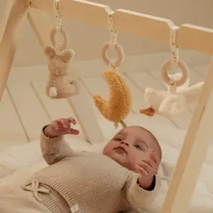 Arche d'éveil en bois Newborn