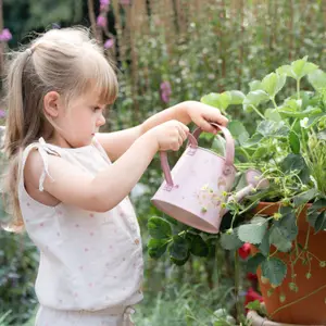 Arrosoir Fairy Garden rose