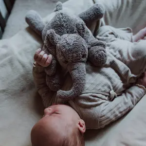 Peluche bruit blanc George l'éléphant gris