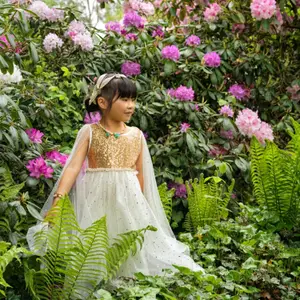 Déguisement robe Dorianne (5-7 ans)