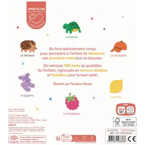 Livre Mes 100 mots tout en couleurs
