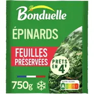 Epinards feuilles préservées