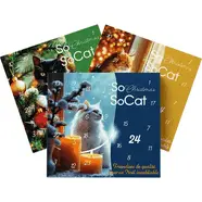 Calendrier de l'avent friandises pour chat