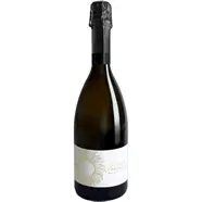 DOC PROSECCO BRUT BIO - TERRE DEI BUTH "GIRASOLE" SPUMANTE