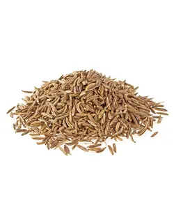 Cumin beldi entier 450g - FILIERE M
