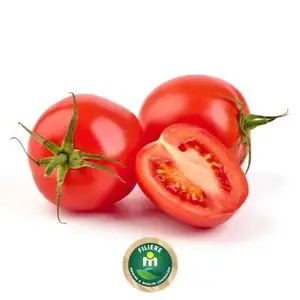 Tomate ronde 1Kg - FILIERE M