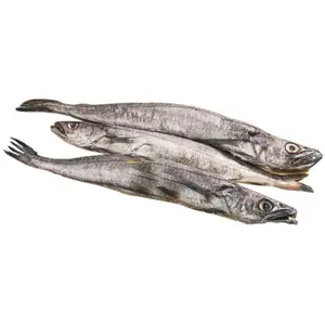 Merlan Bleu 500g