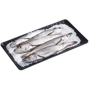 Merlan Ration 500g