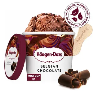 Glace Haagen Dazs Mini Pot  Chocolat Belge  100ml