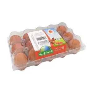 Oeufs Jaune Orange Ovocorpe 15 unités
