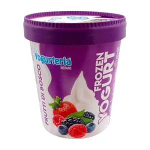 Yogurteria Crème Glacée Sans Lactose Fruits des Bois 500ml