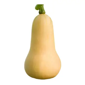 Courgette Butternut 500g