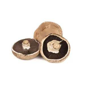 Champignon Portobello Local 250g