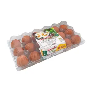 Oeufs Matinales 18 unités