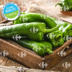 Poivron Vert 500g - Filière Qualité.