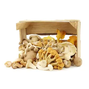 Champignon Mixte à La Pièce