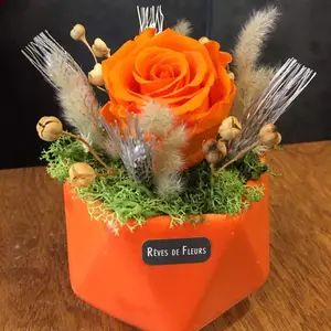 Rose éternelle orange