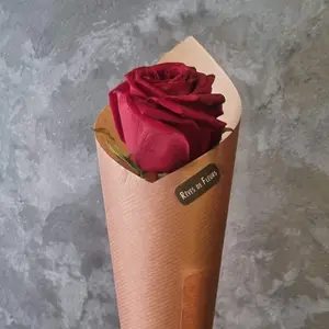 Rose rouge individuelle premium