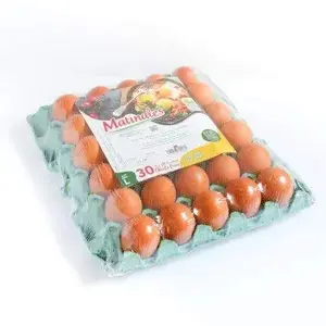 Œufs frais gros calibre x 30 environ 1,850 Kg - MATINALES