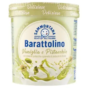 Sammontana pot de glace Pistacchio Barattolino 800ml