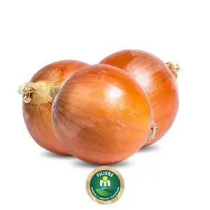 Oignon blanc en filet 3Kg - FILIERE M