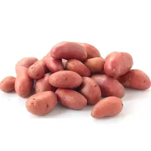 Pomme de terre lavée 1Kg - FILIERE M
