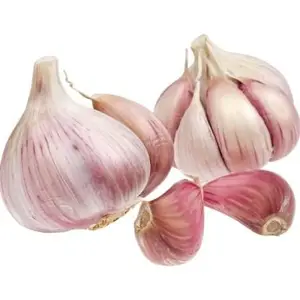 Ail gousse filet 200g - FILIERE M