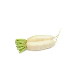 Navet long 500g