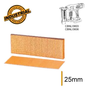 INGCO CLOUS GALVANISES 1000PCS 25MM SANS TETE POUR CBNLI AU MAROC [ANA06825]