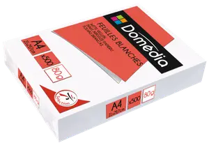 RAMETTE 500 FEUILLES BLANCHES