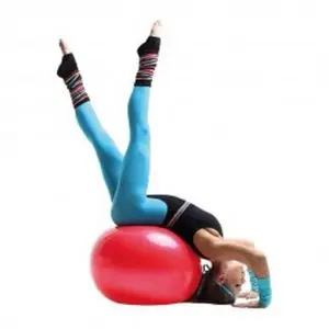 Autre SWISS BALL 65 CM MULTI FONCTION PROMOTION
