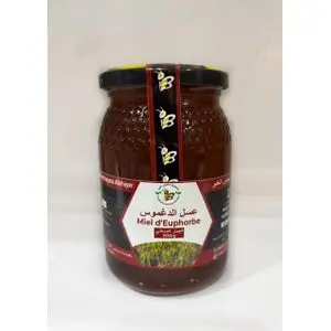 Bioastin Miel Dagmus 100 % naturel