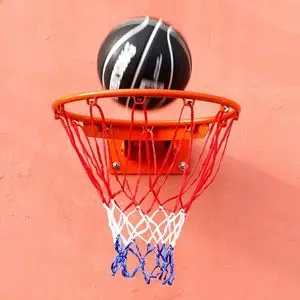 topgym Panier de Basket Professionnel  Mural pour enfants et adultes Sans Ressort